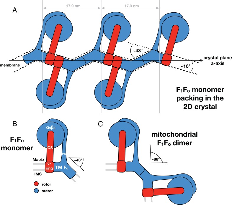 Figure 7.