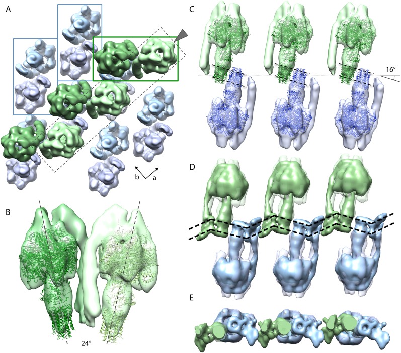 Figure 5.