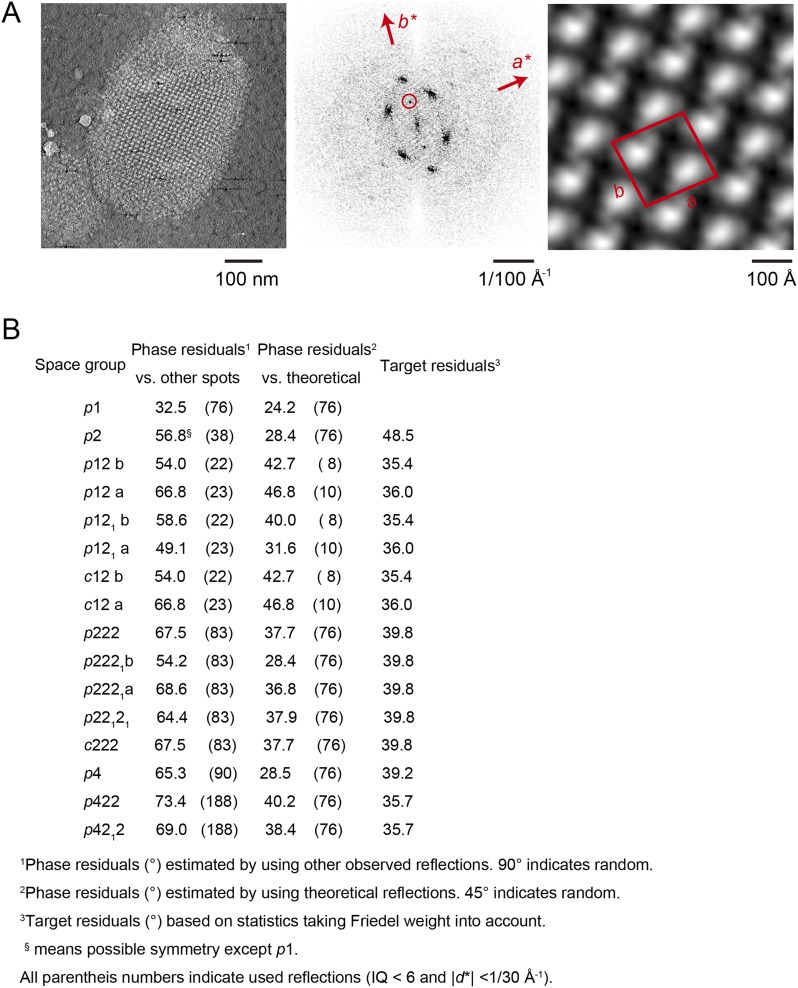 Figure 6—figure supplement 2.