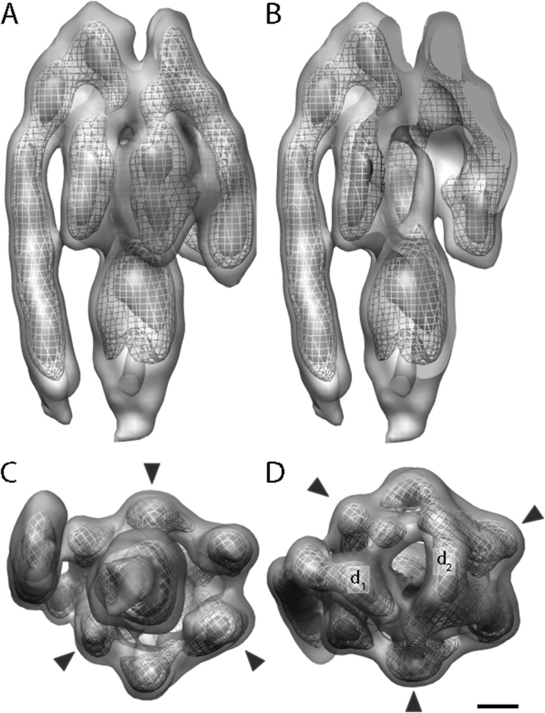 Figure 3.