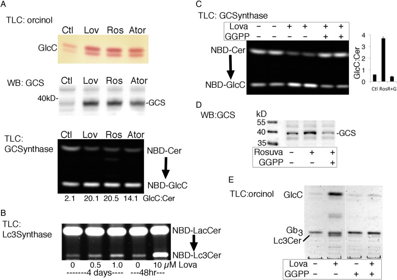 Fig. 3.