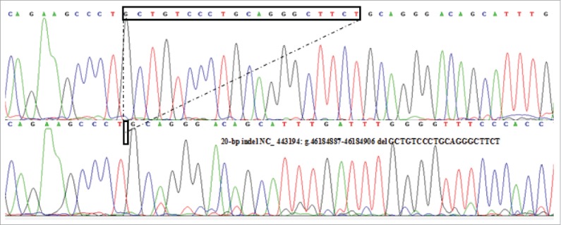 FIGURE 2.