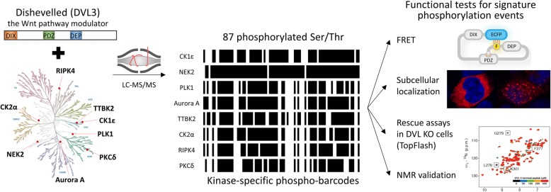 graphic file with name 12964_2019_470_Figa_HTML.jpg