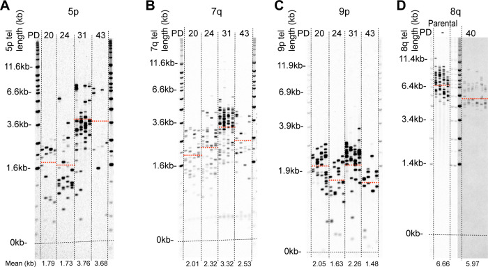 Fig 4