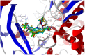 Figure 20