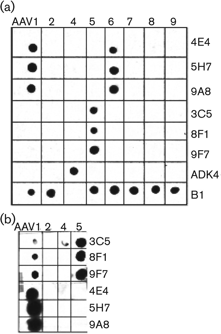 Fig. 1. 