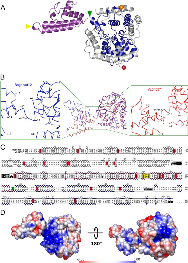 Fig 1