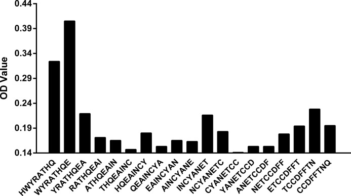 FIGURE 1.