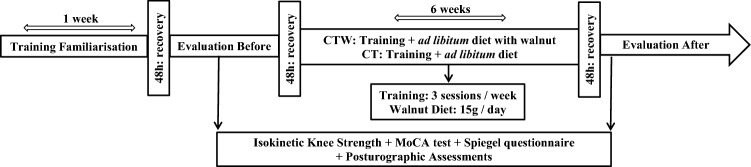 Fig. 1