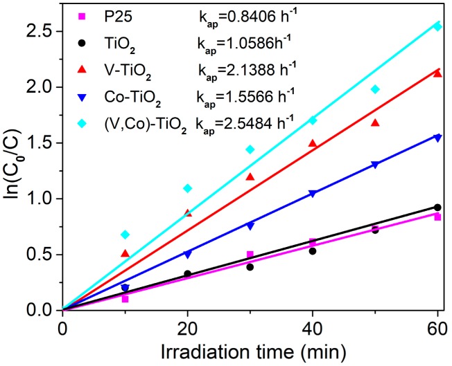 Figure 10