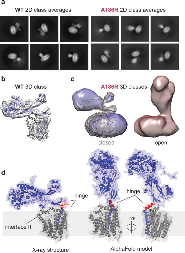 Fig. 2