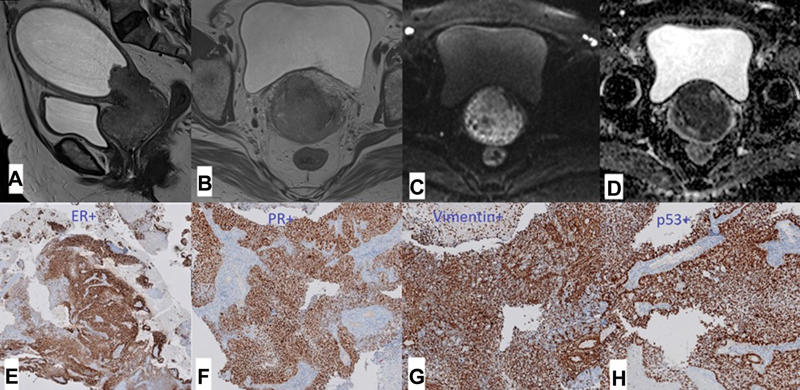 Fig. 8