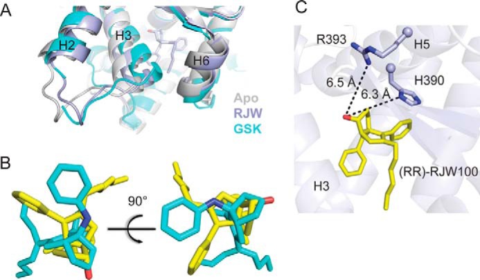 FIGURE 4.