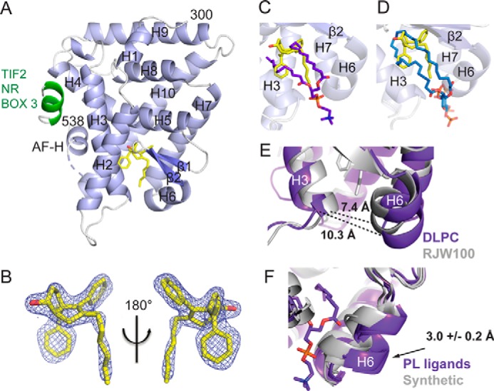 FIGURE 2.