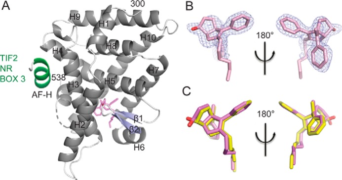 FIGURE 5.