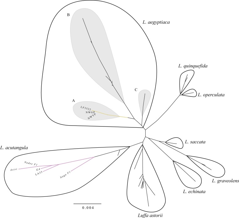 Fig 5