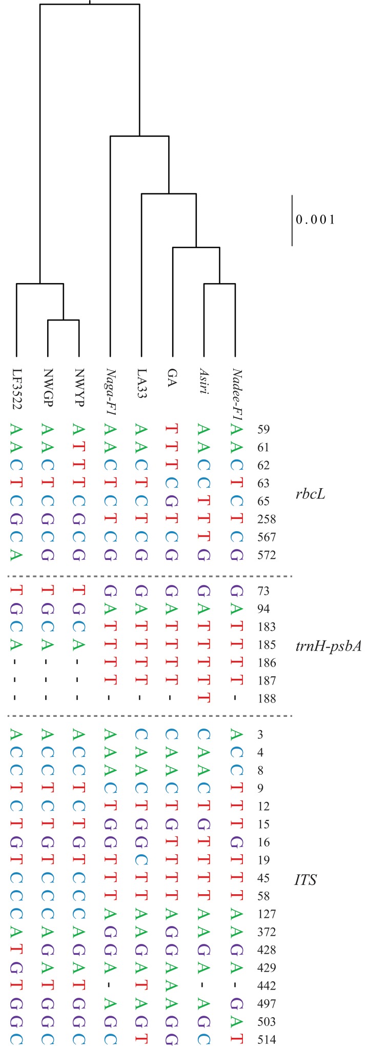 Fig 6