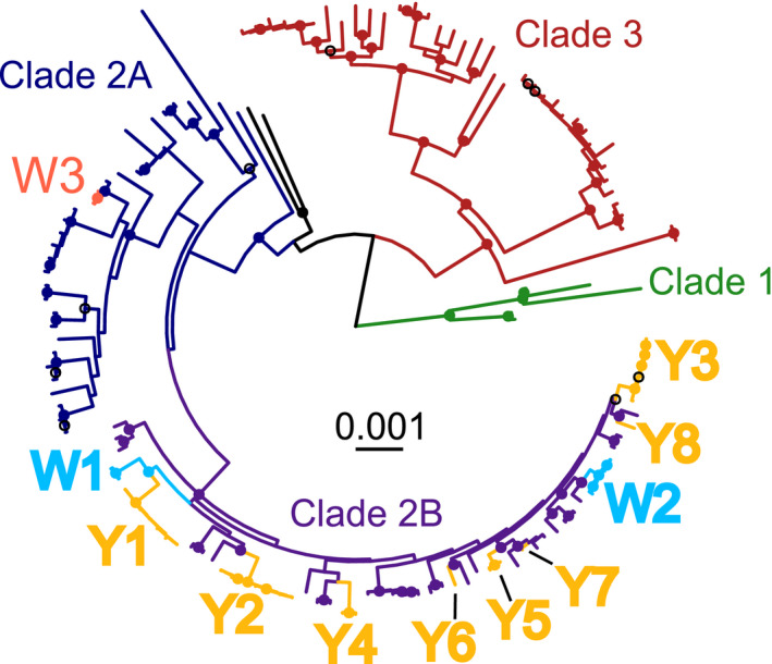 Fig. 2