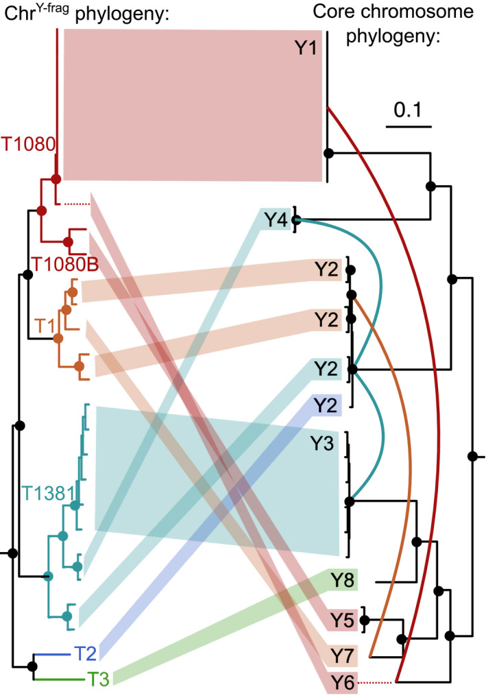 Fig. 4