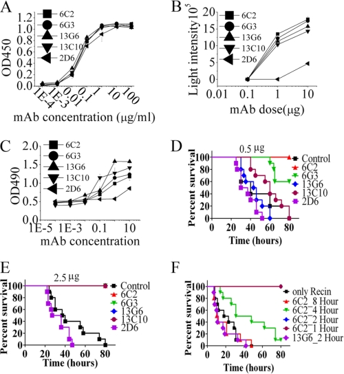 FIGURE 2.