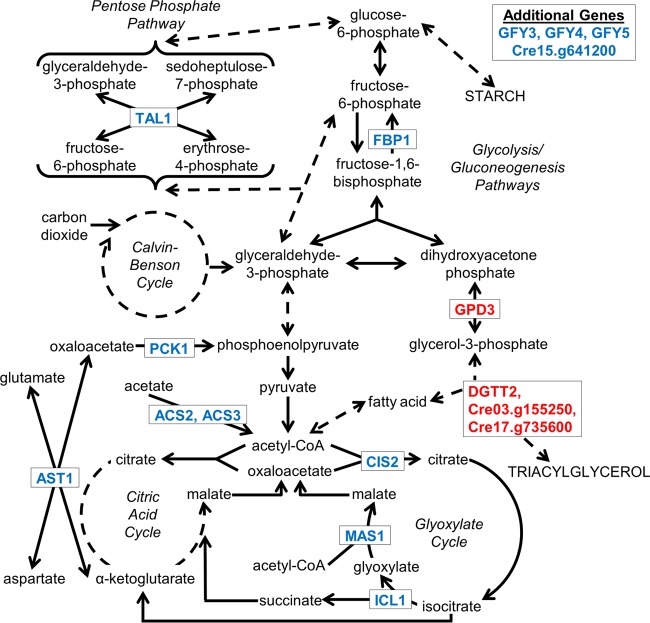 FIG 6