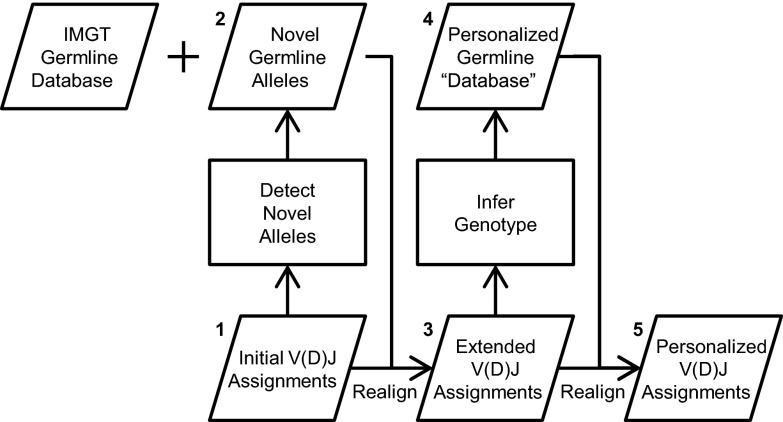 Fig. 1.