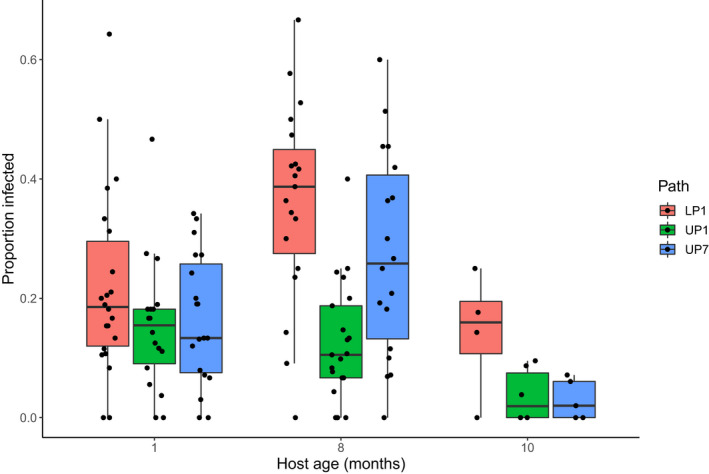 FIGURE 3