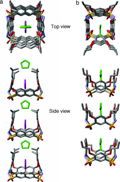 Fig. 7.