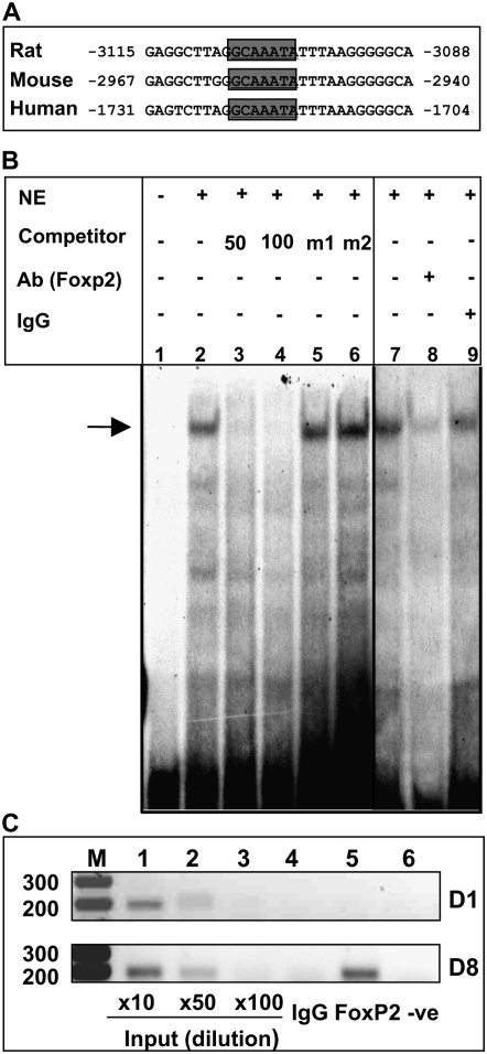 Figure 7.