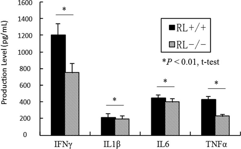 Fig.6