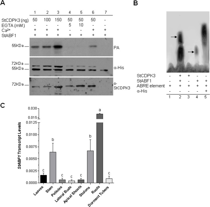 Fig 4