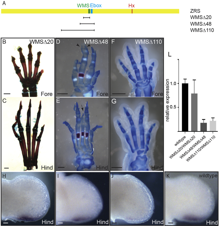 Figure 4