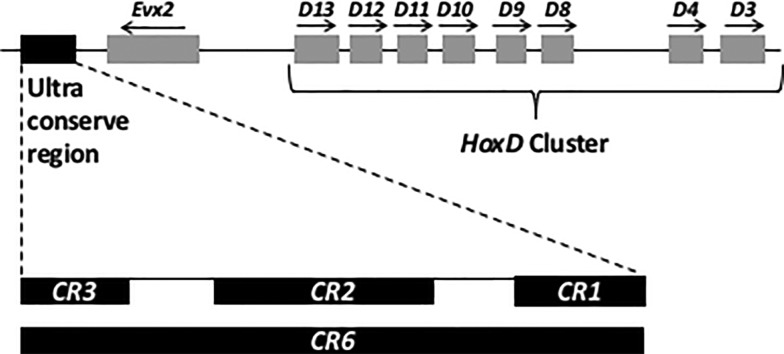 Fig. 1.—