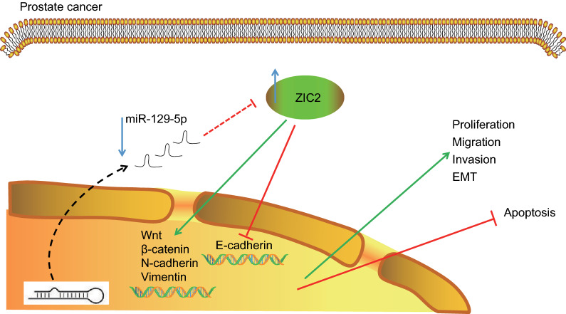 Fig. 10