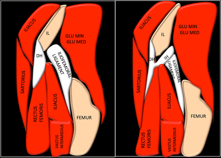 Fig. 6