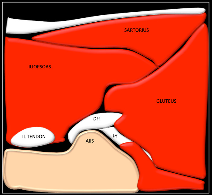 Fig. 7