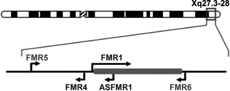 Fig. 5