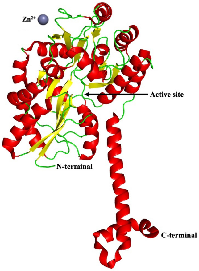 Fig. 6