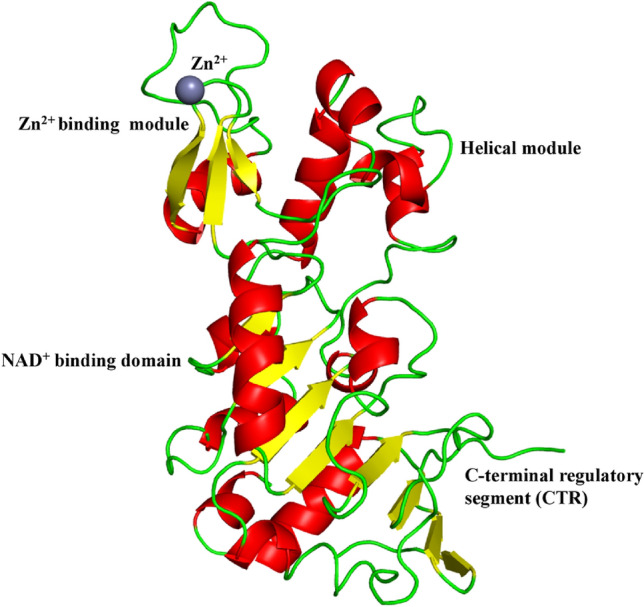 Fig. 1