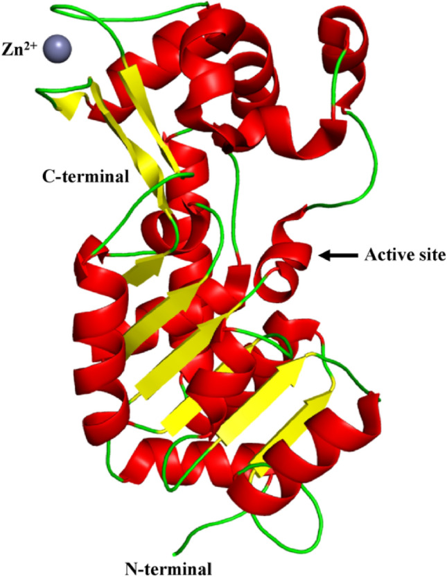 Fig. 2