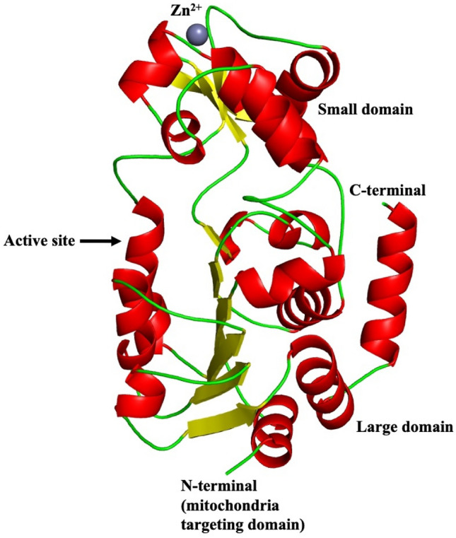 Fig. 3