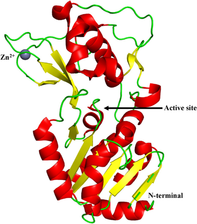 Fig. 4