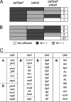 FIG. 4.