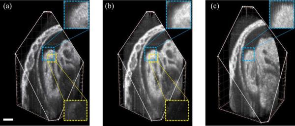 Fig. 9