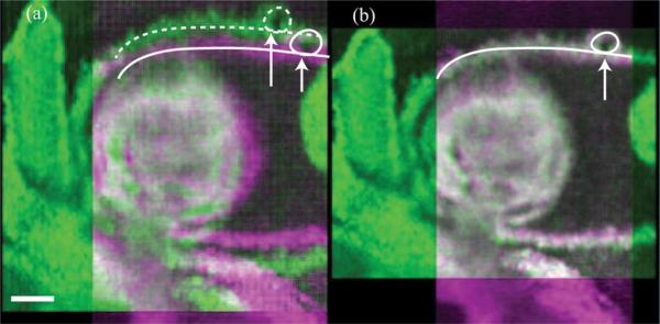 Fig. 6