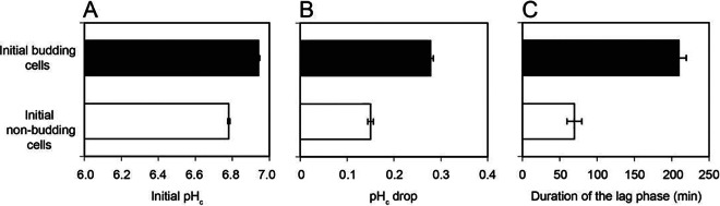 FIG 5