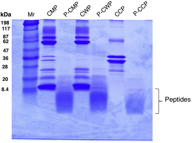 Fig. 2