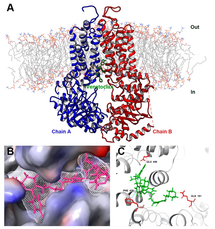 Figure 9