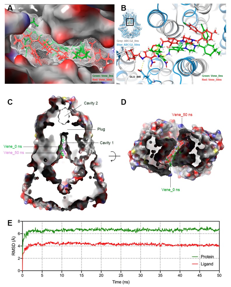 Figure 10