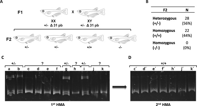 Figure 2—figure supplement 3.